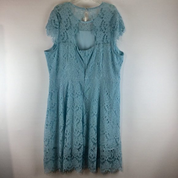 NWT lace short sleeveless dress